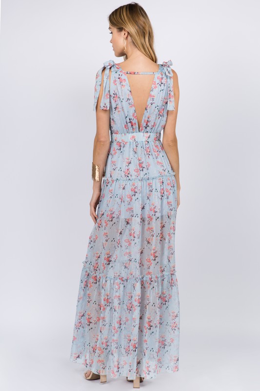 Cecile sheer v best sale neck maxi dress