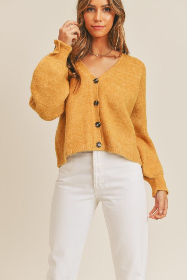Long Sleeve Sweater Cardigan